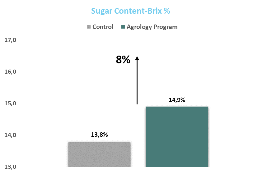 Picture 6. Sugar Content-Brix %