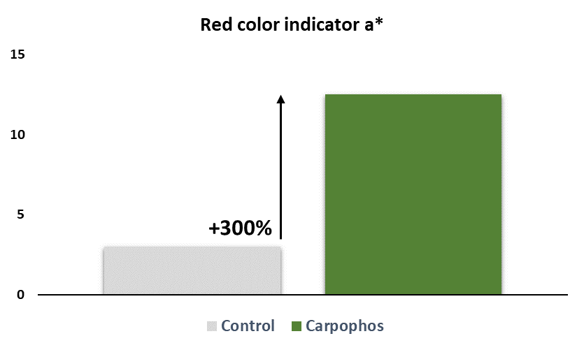 Picture 1. Red color indicator. Skin Red color of 150 apples per treatment. Carpophos® showed 300% improvement in red color compared to Control.