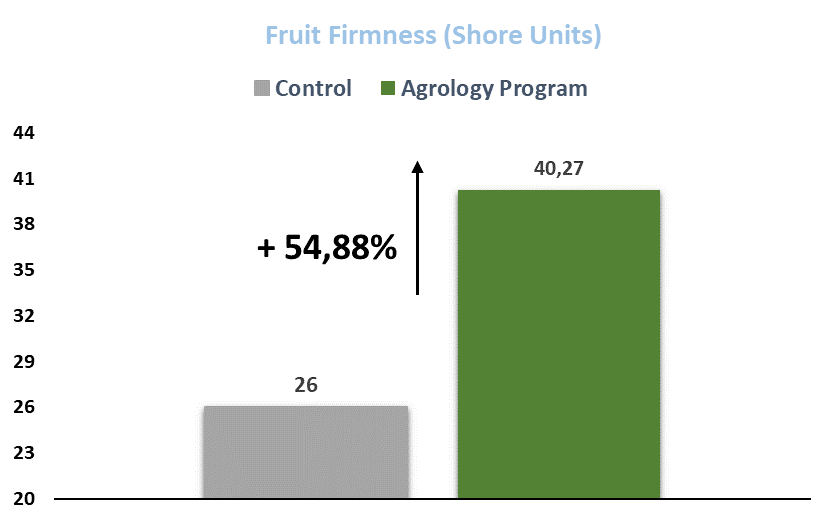 Figure 1. Fruit Firmness (Shore Units). With the application of Agrology Program, an increase in fruit firmness of +54,88% was achieved, compared to the Control.