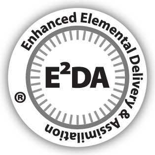 E2DA Technology Logo