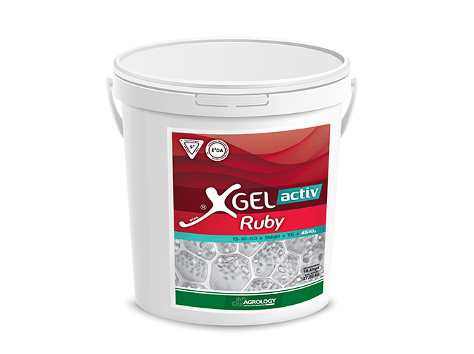 Product Image - XGel® activ Ruby 15-10-50+3MgO+4SiO2