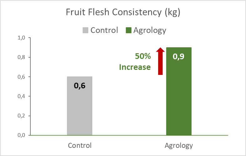 Picture 6. Increase of Fruit Consistency by 50%