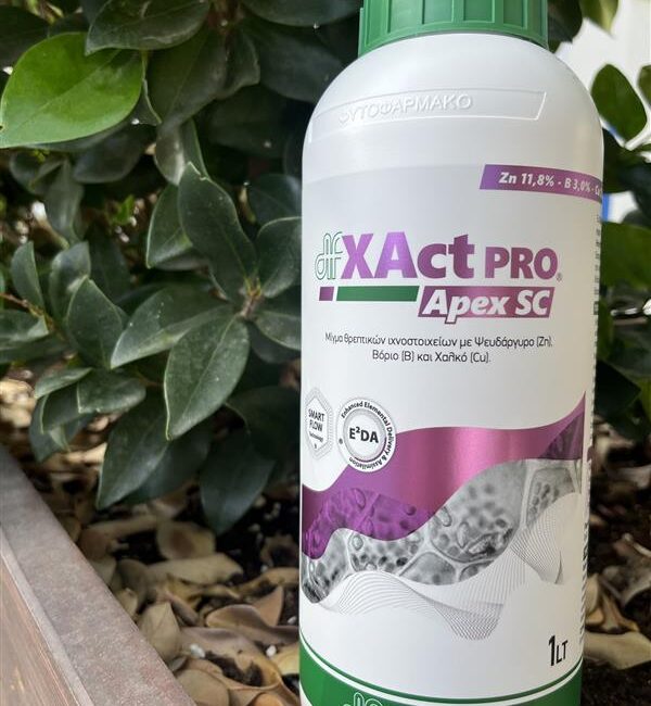 XAct® PRO Apex SC product image