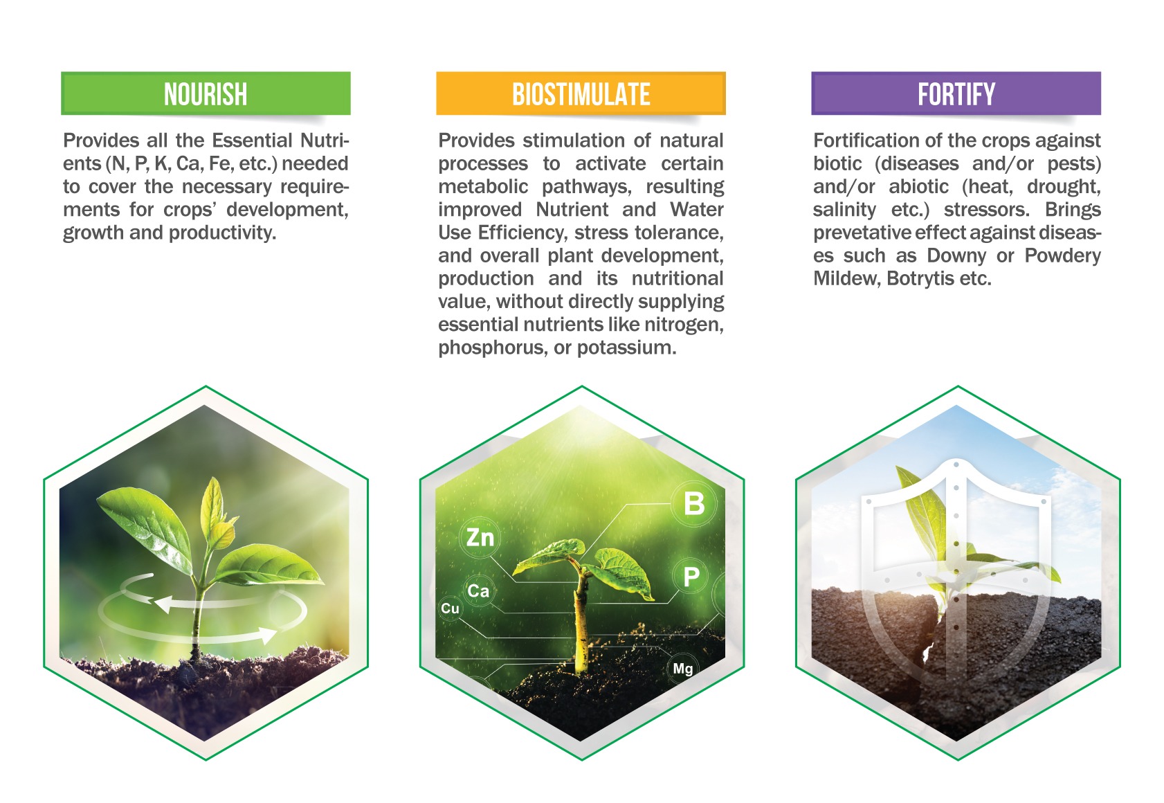 NOURISH - BIOSTIMULATE - FORTIFY