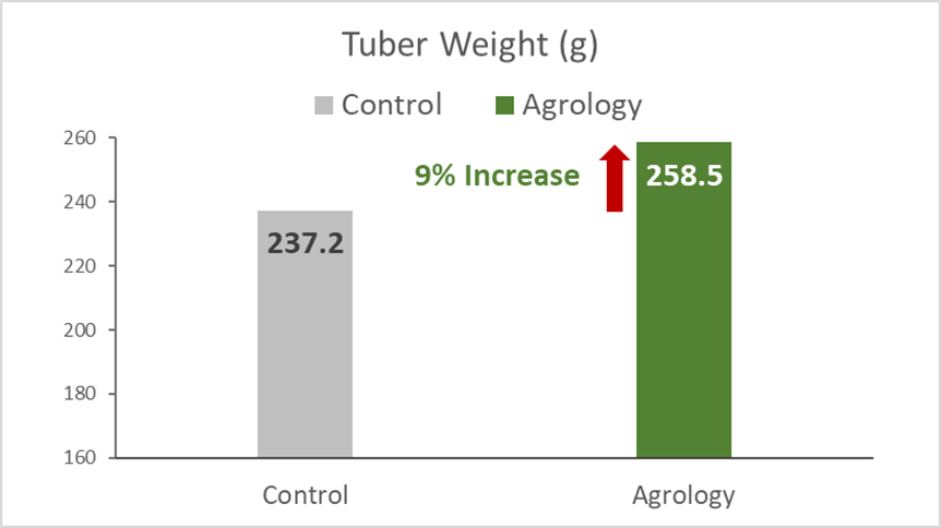 Increase in Tuber Weight of 9%