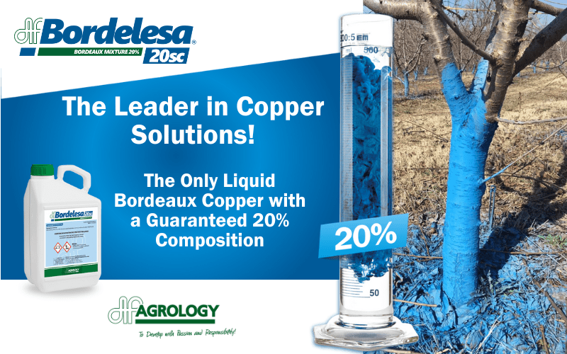 Bordelesa® 20 SC: Agrology’s Global Innovation