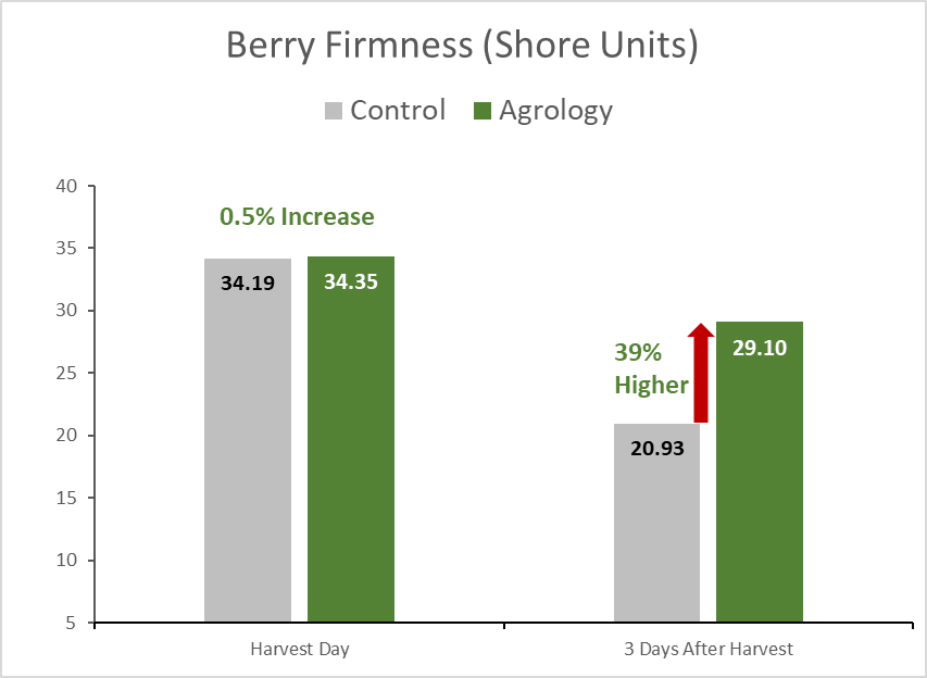 With the application of Agrology Program, an increase in Berry Firmness of 39% was achieved, 3 days after harvest, compared to the control