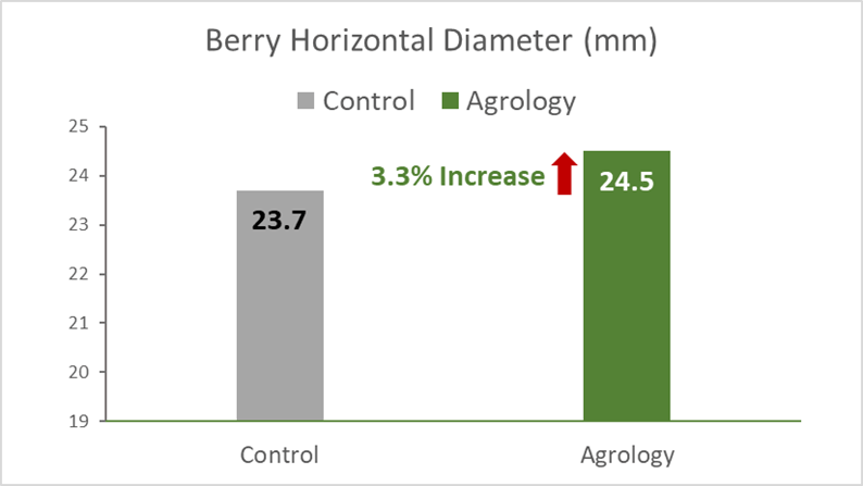 With the application of Agrology Program, an increase in Berry Horizontal Diameter of 3.3% (+0.78 mm) was achieved compared to the control