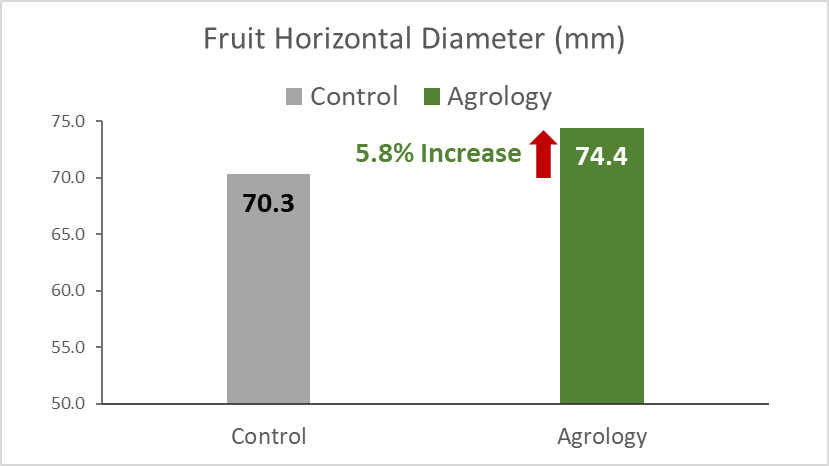 With the application of Agrology Program, an increase in Fruit Size (Horizontal Diameter) of 5.8% (+4.1 mm) was achieved compared to the control