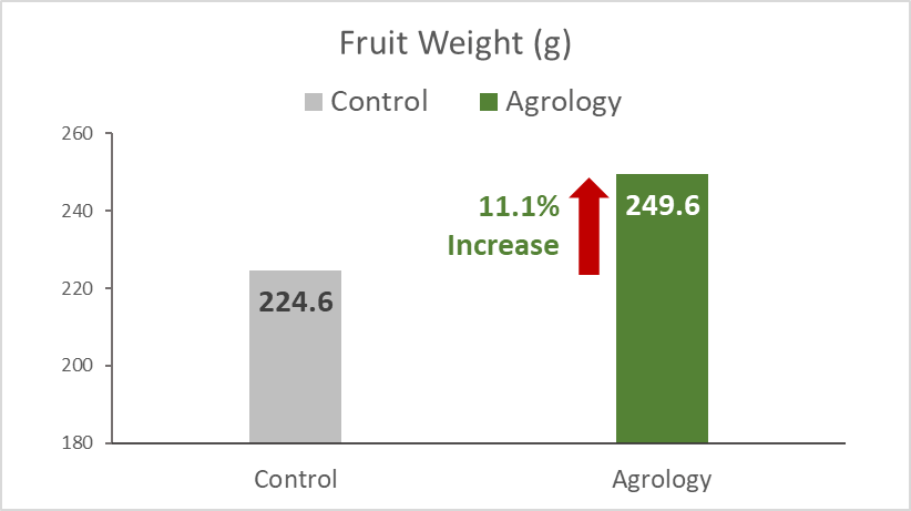 With the application of Agrology Program, an increase in Fruit Weight of 11.1% (+24.96 g) was achieved compared to the control