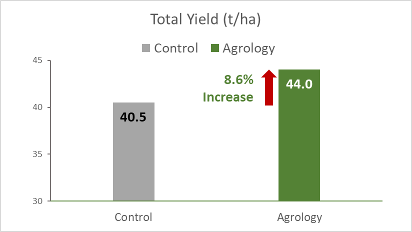 With the application of Agrology Program, an increase in Total Yield of 8.6% (+3.5 t/ha) was achieved compared to the control
