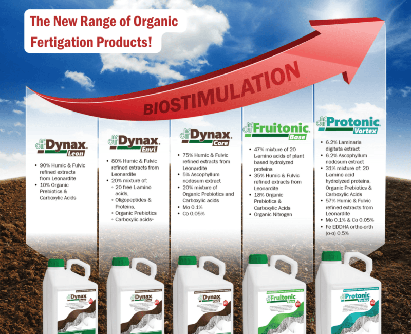 A New Generation of Products