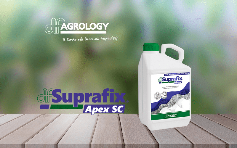 Suprafix® Apex SC: Nutrition That Builds the Foundations for the Next Growing Season