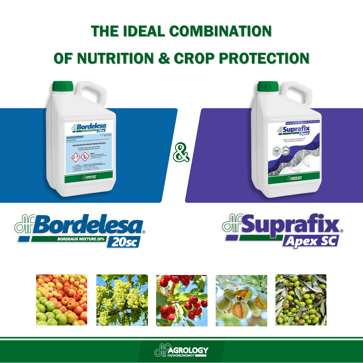 Bordelesa 20SC + Suprafix Apex - The Ideal combination of Nutrition & Crop protection