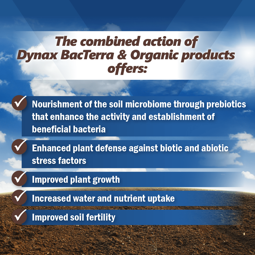 combined action of Dynax BacTerra & organic products