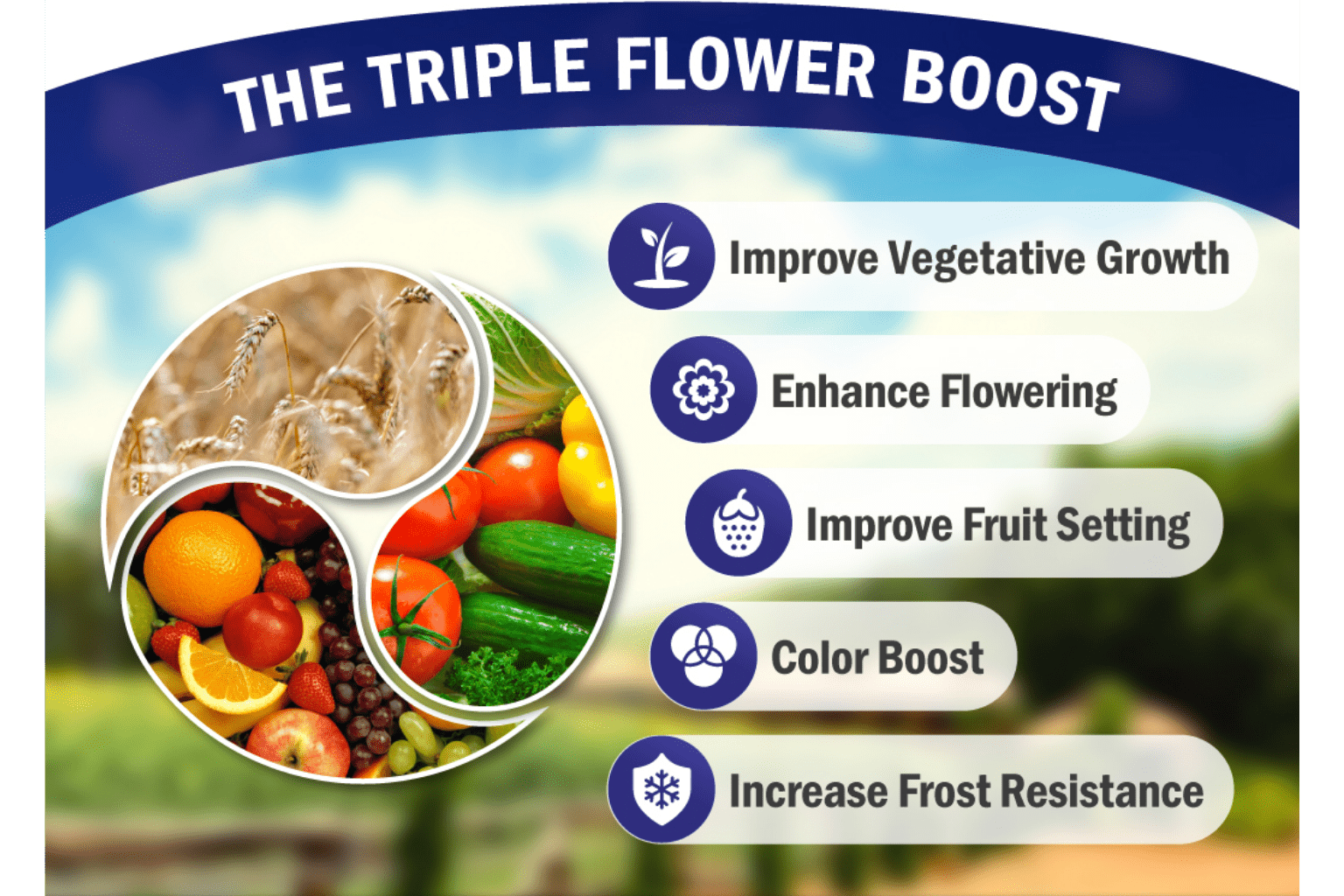 Suprafix® MoBoZin SC: The Triple Flower Boost