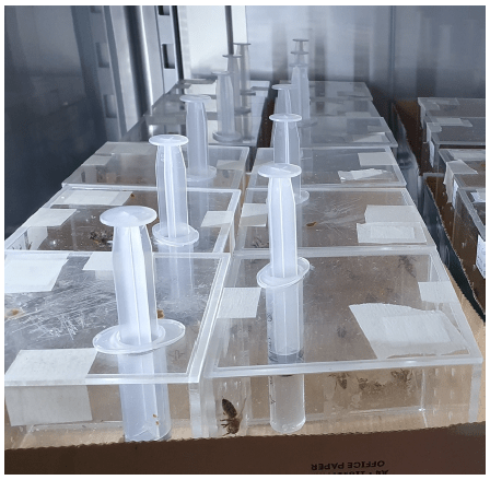 Picture 3. Section of the cages used for the laboratory experiments