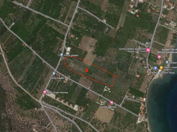 Picture 5. The experimental citrus orchard located in the area of Nea Epidavros, Argolis, Greece
