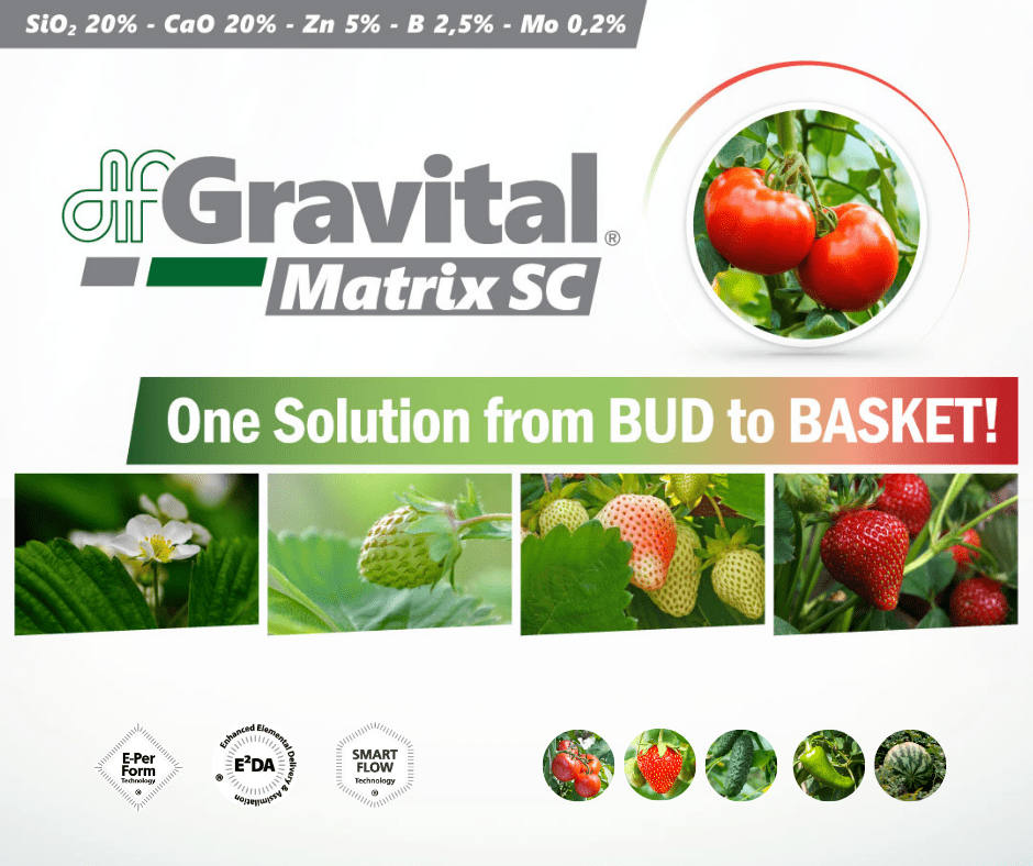 Gravital® Matrix SC: One Solution from BUD to BASKET!