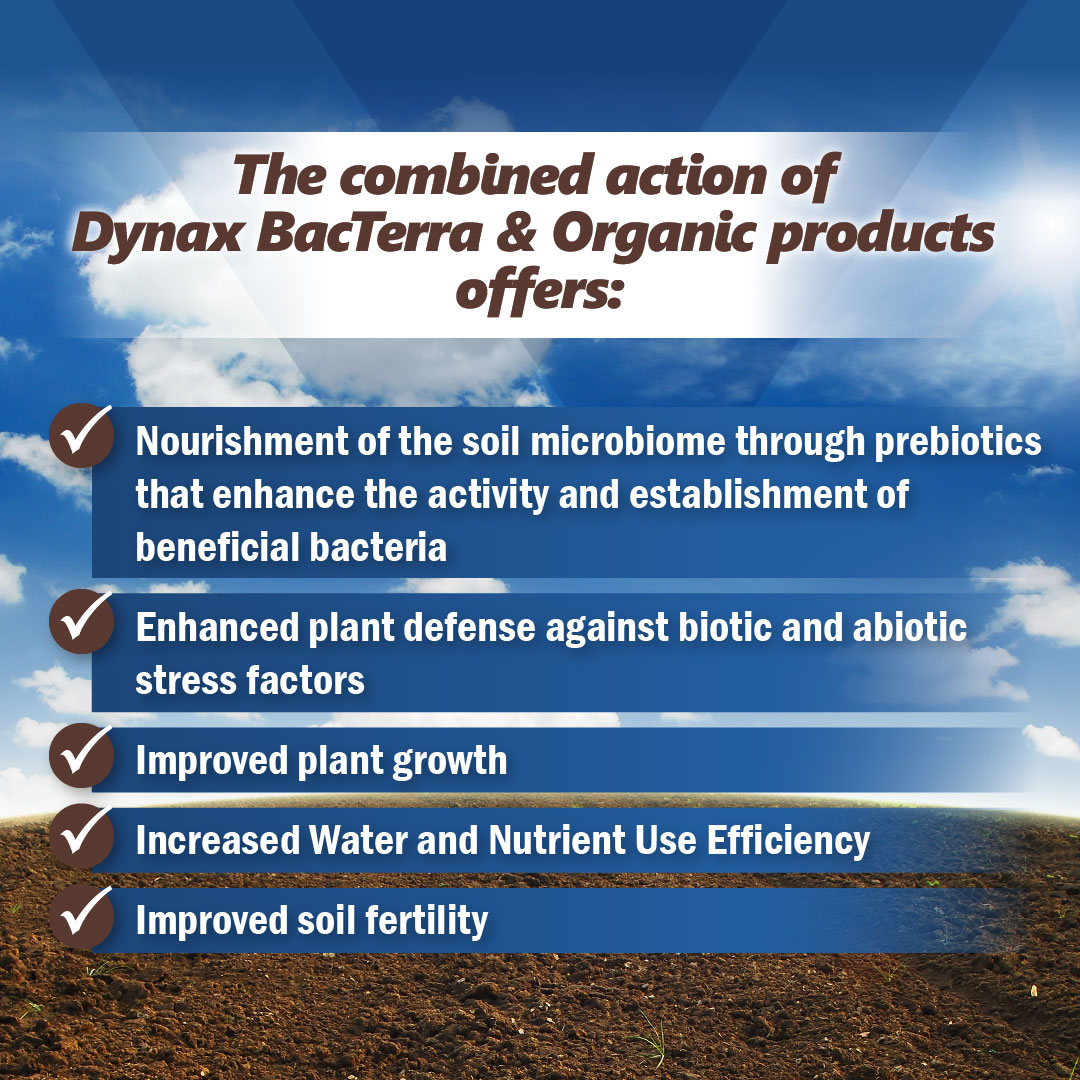 the combined action of Dynax BacTerra & Organic products
