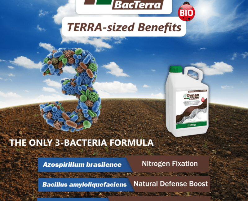Dynax® Bacterra: 3-in-1 Bacterial Biostimulant