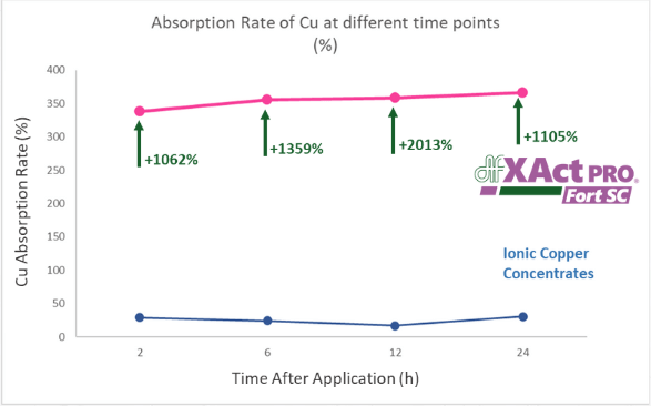 20x higher copper absorption rate compared to ionic formulations