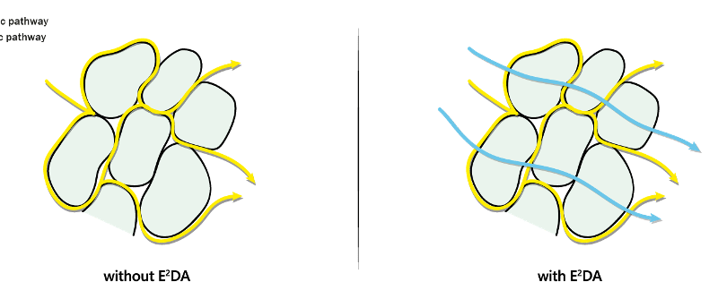 Comparison of nutrient movement with (right) and without (left) E2DA® Technology