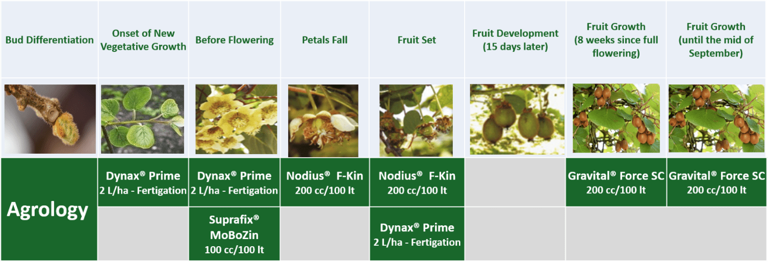 Agrology Functional Crop Nutrition® Program – Kiwi, var. Hayward