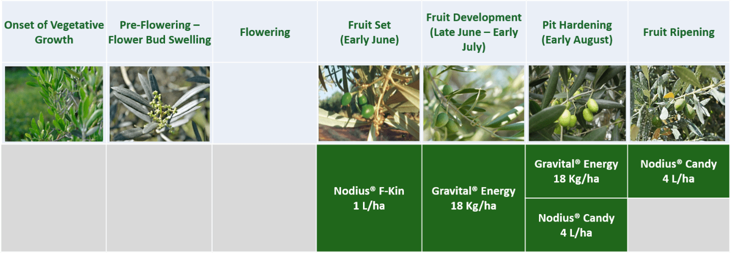 Picture 1. Agrology Functional Crop Nutrition® Program