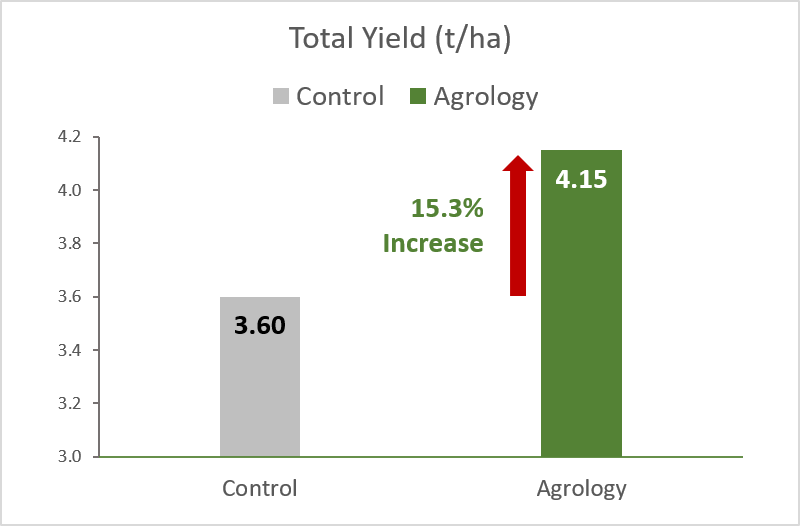 Picture 2. Total Yield (t/ha). By applying Agrology Program, an increase in Total Yield of 15.3%, was achieved compared to the Control.