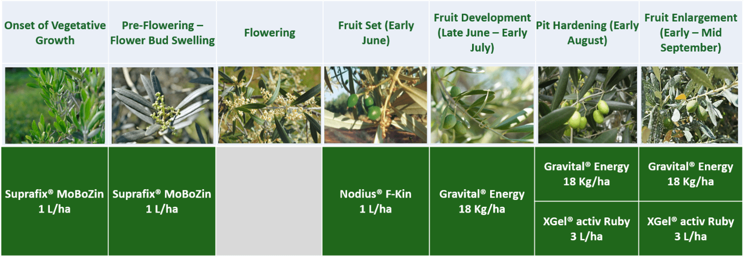 Picture 3. Agrology Functional Crop Nutrition® Program