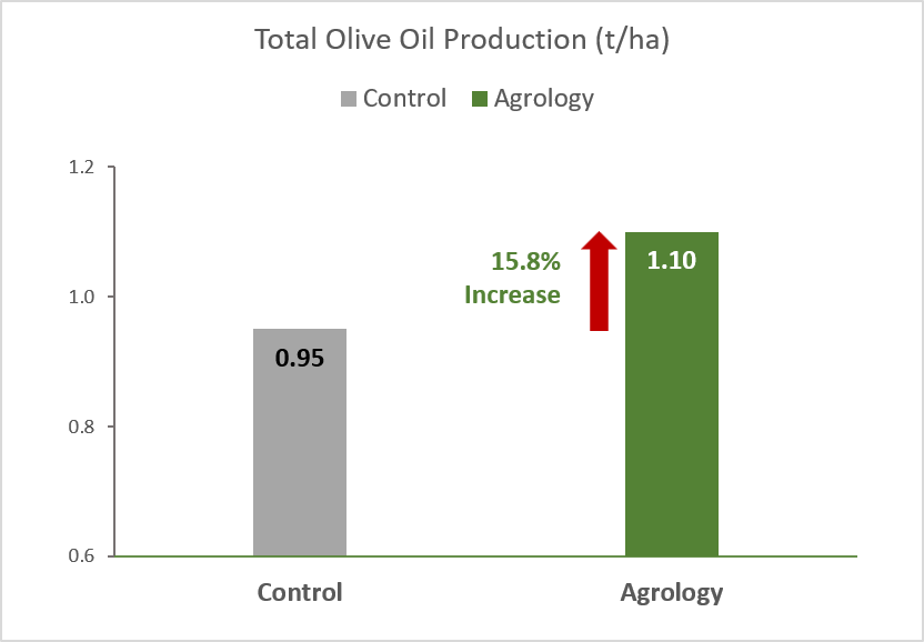 Picture 3. Total Olive Oil Production (tha). By applying Agrology Program, an increase in Total Olive Oil Production of 150 kgha (+15.8%), was achieved compared to the Control.
