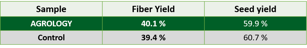 Picture 4. Fiber And Seed Yield (%) in Agrology Treatment and Control