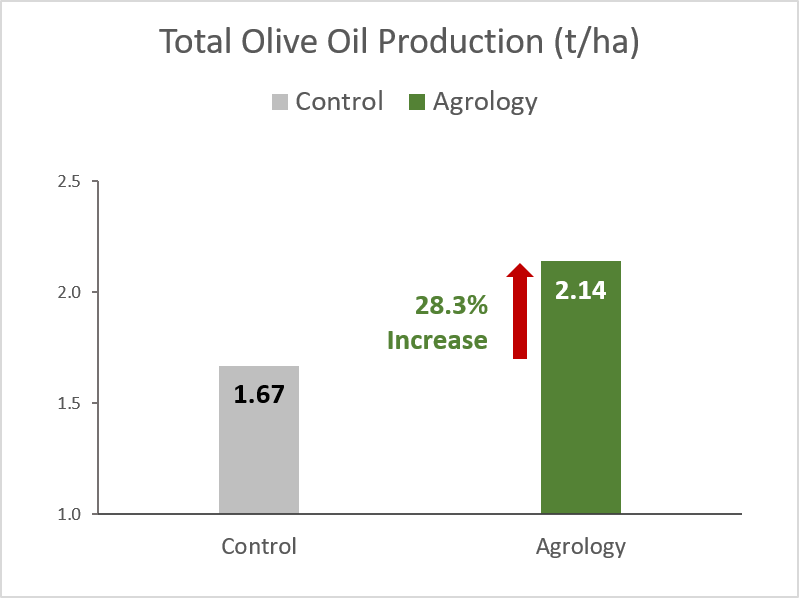 Picture 4. Total Olive Oil Production (tha). By applying Agrology Program, an increase in Total Olive Oil Production of 470 kgha (28.3%), was achieved compared to the Control.