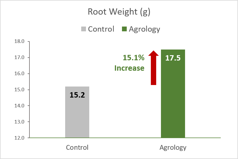 Picture 6. Average Root Weight (g). With the implementation of the Agrology Program, there was an increase in the weight of roots by 2.3 g (+15.1%), compared to the Control