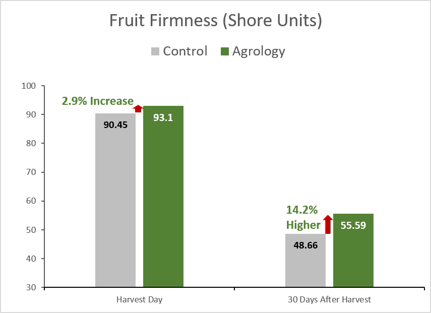 Picture 6. Fruit Firmness (Shore Units). With the application of Agrology Program, an increase in Fruit Firmness of 14.2% was achieved compared to the control, 30 days after harvest at room temperature.