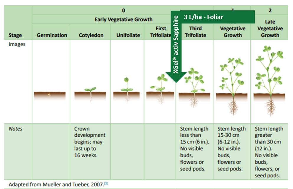 Picture 1. Agrology Functional Crop Nutrition® Program – Alfalfa