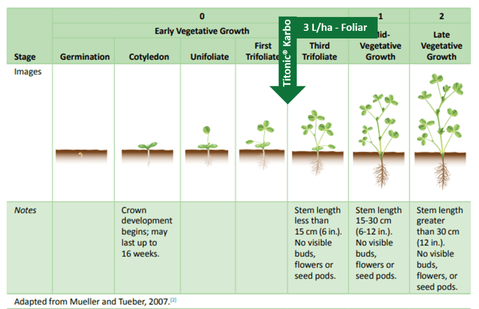 Picture 1. Agrology Functional Crop Nutrition® Program – Alfalfa