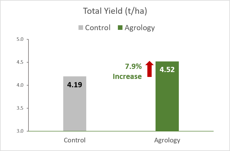 Picture 2. Total Yield (t/ha). By applying Agrology Program, an increase in Total Yield of 7.9%, was achieved compared to the Control.