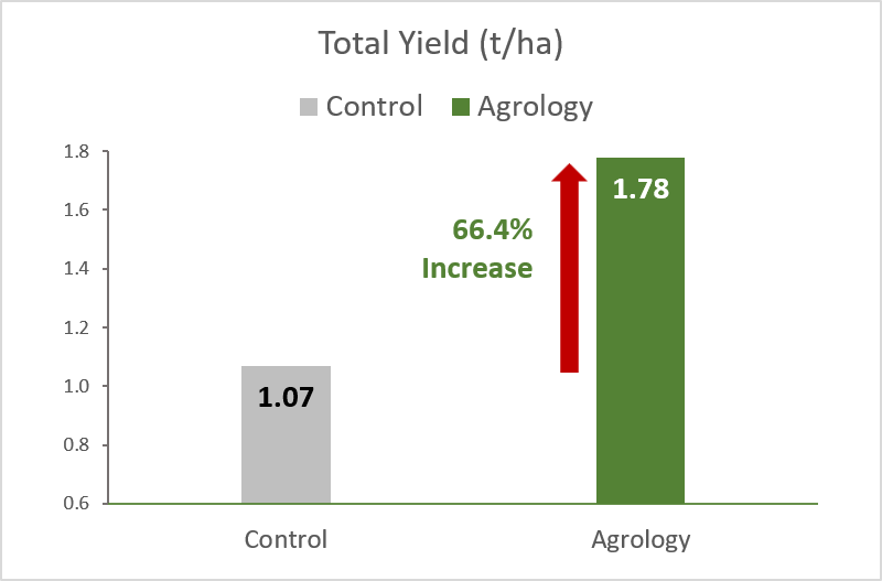 Picture 2. Total Yield (t/ha). By applying Agrology Program, an increase in Total Yield of 66.4%, was achieved compared to the Control.