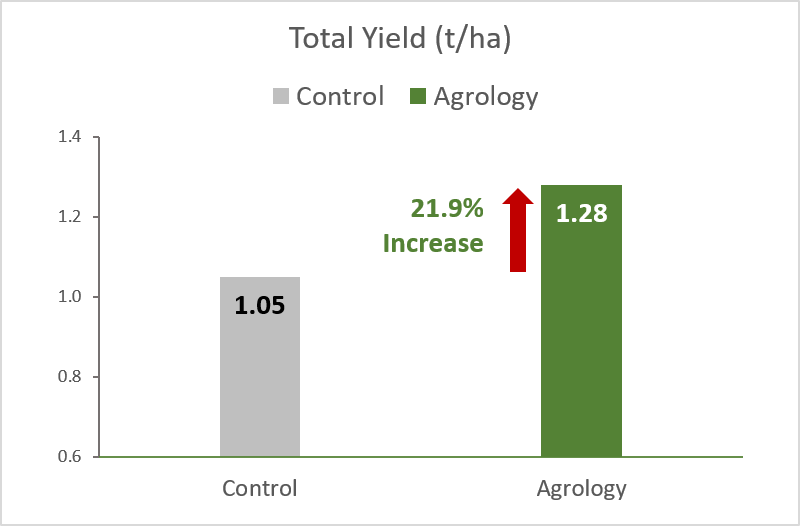 Picture 2. Total Yield (t/ha). By applying Agrology Program, an increase in Total Yield of 21.9%, was achieved compared to the Control.