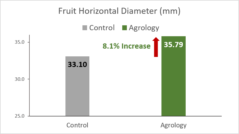 Picture 3. Fruit Size (mm) – Horizontal Diameter. With the application of Agrology Program, an increase in Fruit Size (Horizontal Diameter) of 8.1% (+2.69 mm) was achieved compared to the control.
