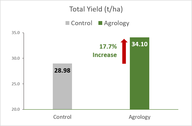 Picture 5. Total Yield (t/ha). With the application of Agrology Program, an increase in Total Yield of 17.7% (+5.12 t/ha) was achieved compared to the control.