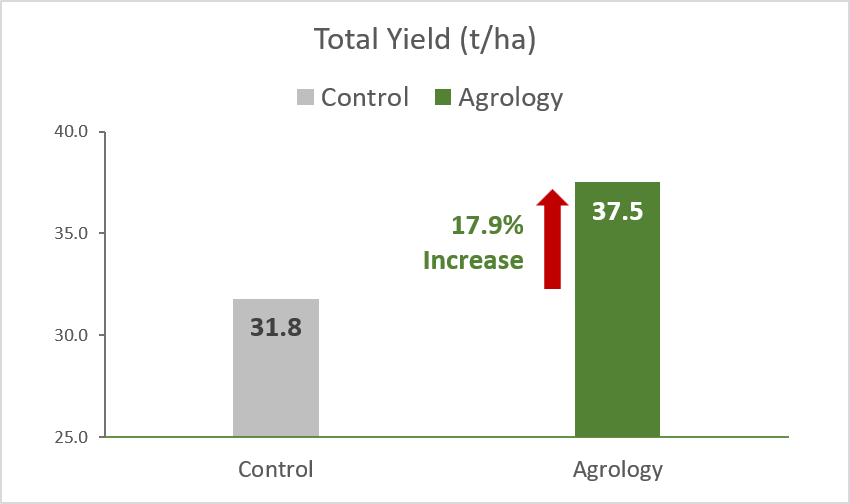 Picture 6. Total Yield (t/ha). With the application of Agrology Program, an increase in Total Yield of 17.9% (+5.7 t/ha) was achieved compared to the control.