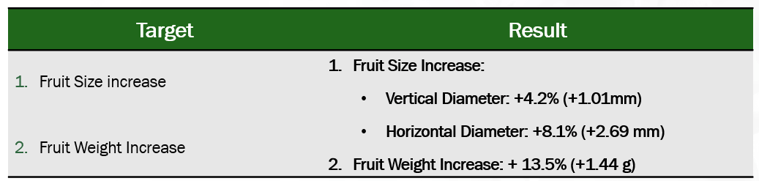 Picture 8. Synopsis of the Results in Table Olives