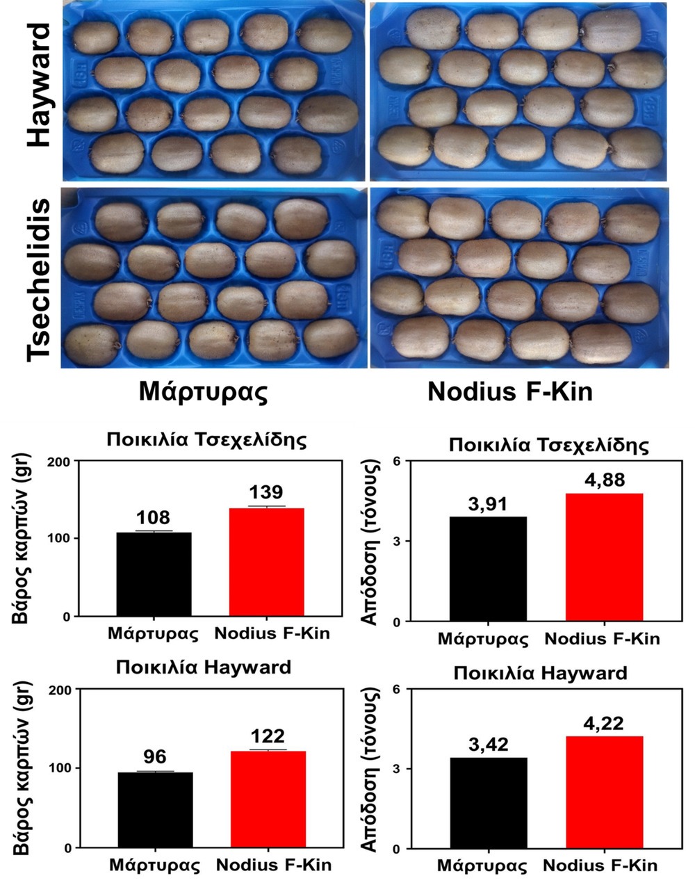 Βάρος καρπών και απόδοση των ποικιλιών ‘Hayward’ και ‘Tsechelidis’.