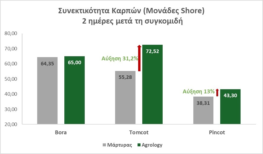 Εικόνα 13. Συνεκτικότητα Καρπών (Μονάδες Κλίμακας Shore) 2 ημέρες μετά τη συγκομιδή