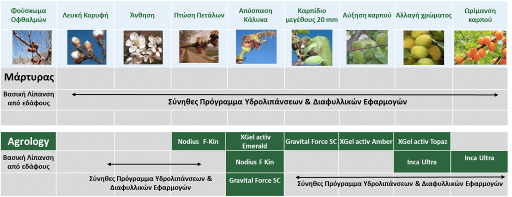 Πρόγραμμα Λειτουργικής Θρέψης Καλλιεργειών® - Βερίκοκο