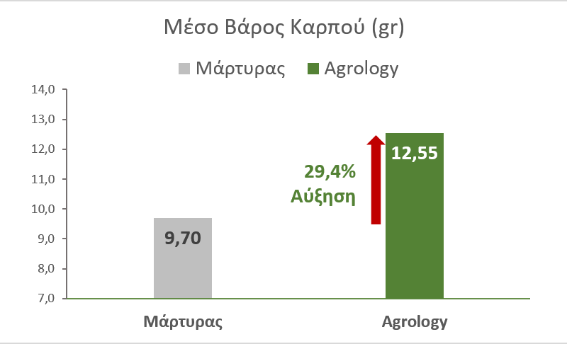 Εικόνα 6. Μέσο Βάρος Καρπών