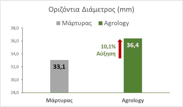 Εικόνα 3. Οριζόντια Διάμετρος Καρπών (mm)